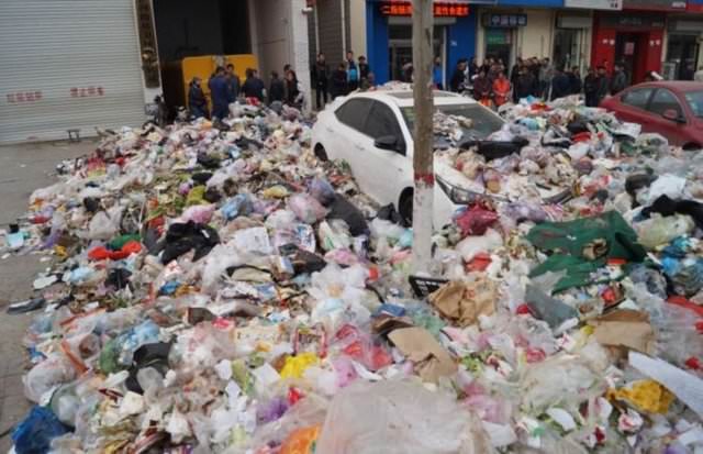 Terk edilmiş halde bulundular!