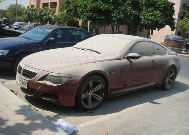 Terk edilmiş halde bulundular!