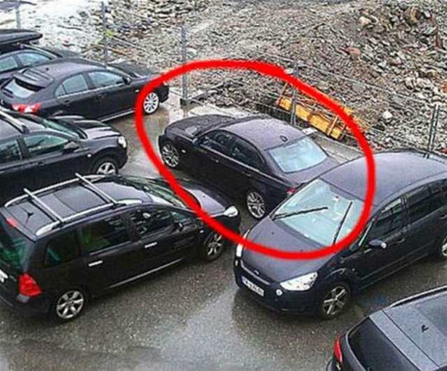 Terk edilmiş halde bulundular!