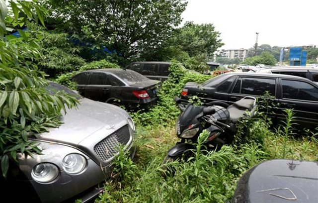 Terk edilmiş halde bulundular!