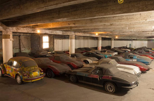 Terk edilmiş halde bulundular!