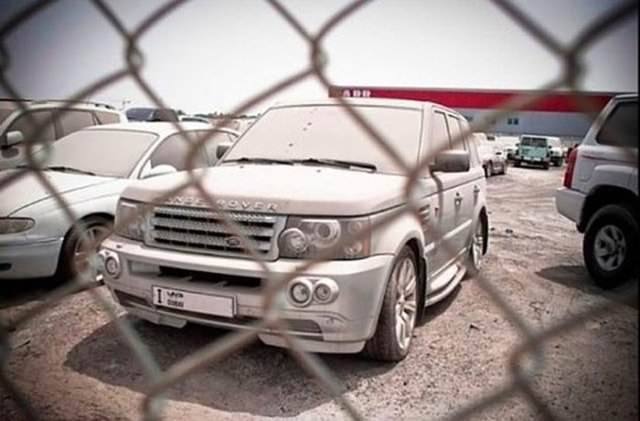 Terk edilmiş halde bulundular!