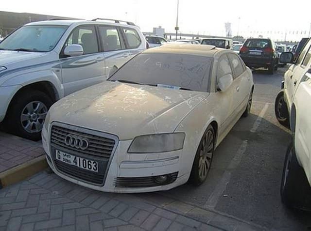 Terk edilmiş halde bulundular!