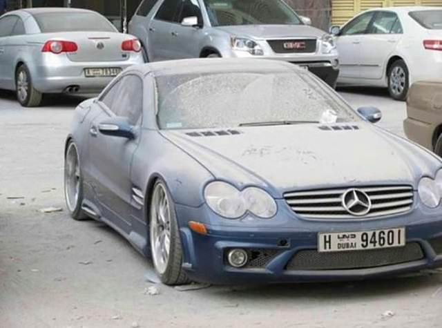 Terk edilmiş halde bulundular!