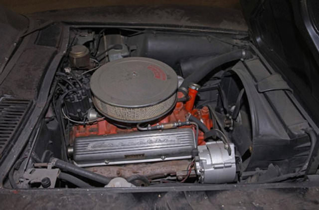 Terk edilmiş halde bulundular!