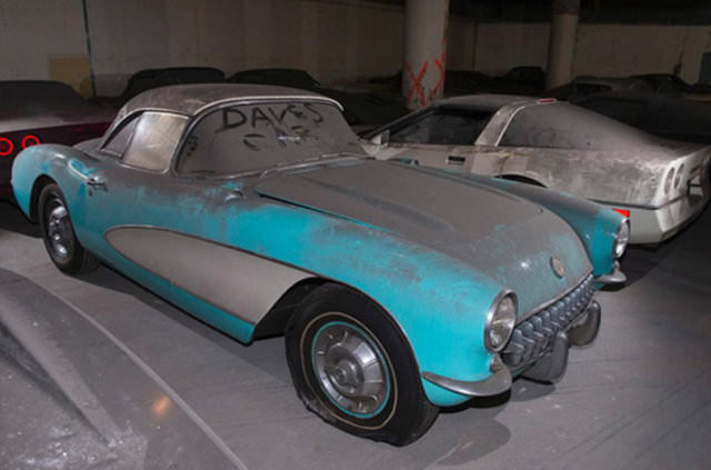 Terk edilmiş halde bulundular!