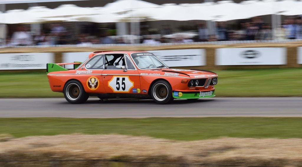 44 Fotoğrafta Goodwood Festivali