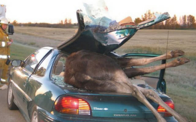 En İlginç Trafik Kazaları