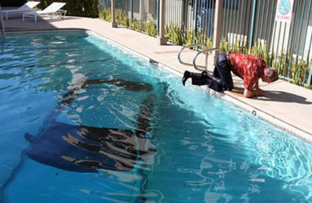 En İlginç Trafik Kazaları