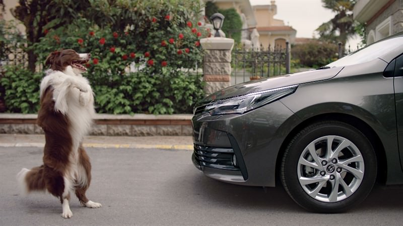 Makyajlı Corolla, Test Sürüşü İçin Hazır