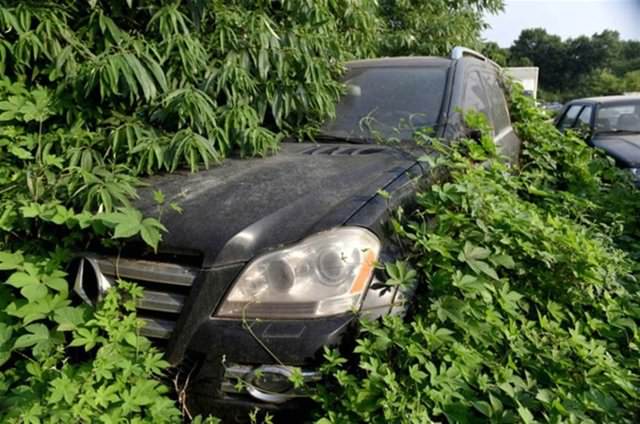 Terk Edilmiş Halde Bulundular!