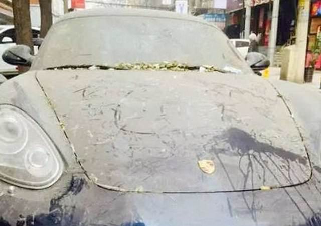 Terk Edilmiş Halde Bulundular!