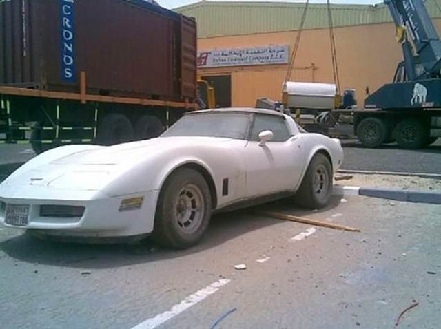 Terk Edilmiş Halde Bulundular!