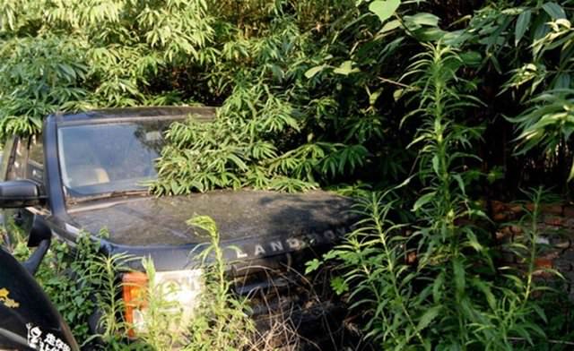 Terk Edilmiş Halde Bulundular!