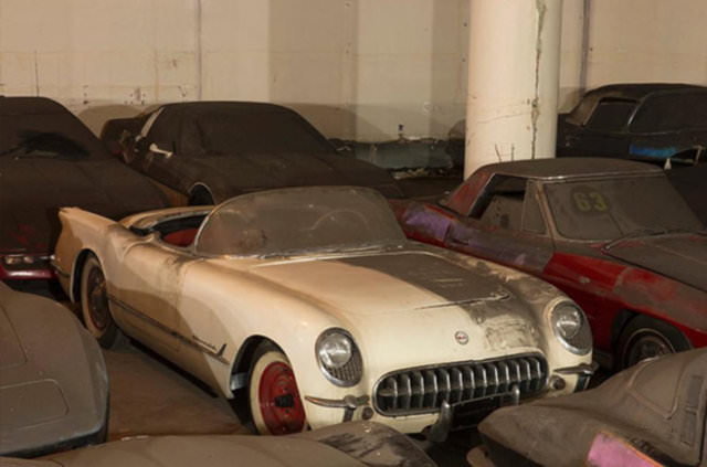 Terk Edilmiş Halde Bulundular!