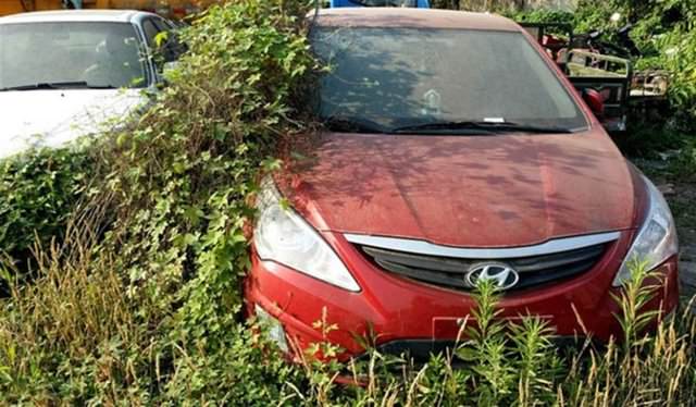 Terk Edilmiş Halde Bulundular!