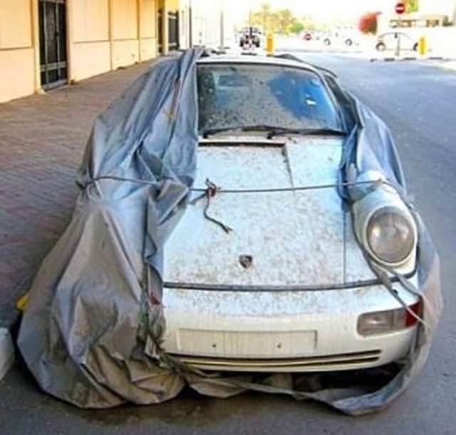 Terk Edilmiş Halde Bulundular!