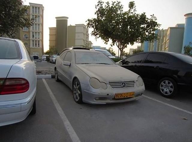 Terk Edilmiş Halde Bulundular!