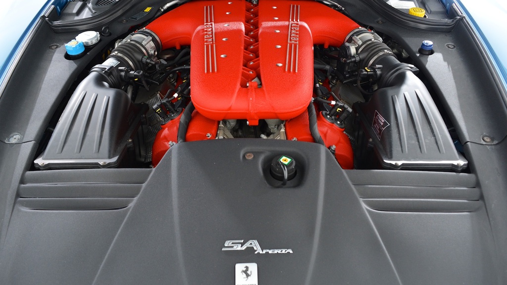 80 Örnekten Biri Satışa Çıkıyor