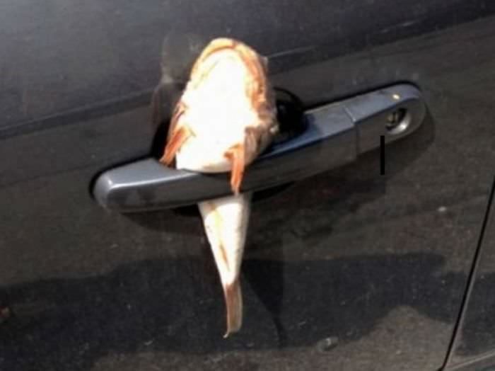 Park ederken dikkat!.