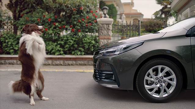 Yeni Toyota Corolla'da motor sürprizi