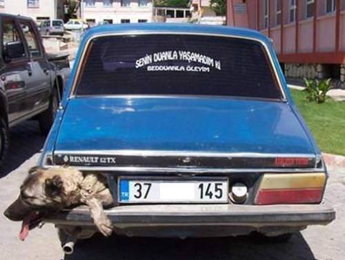 Araçlarına yazdıklarıyla fenomen oldular!
