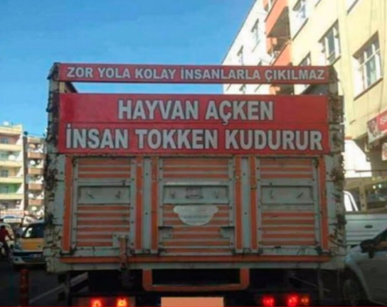 Araçlarına yazdıklarıyla fenomen oldular!