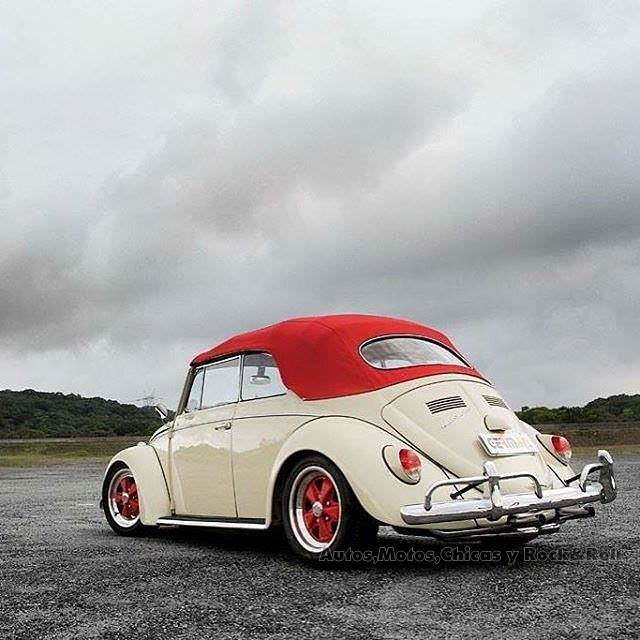 Volkswagen Kaplumbağa efsanesi