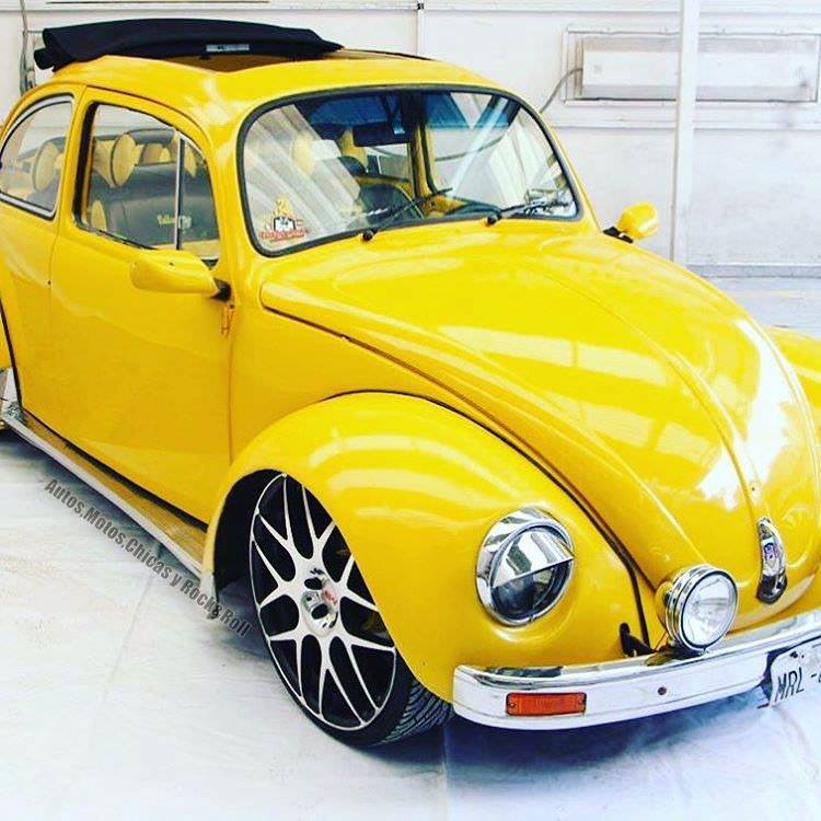 Volkswagen Kaplumbağa efsanesi