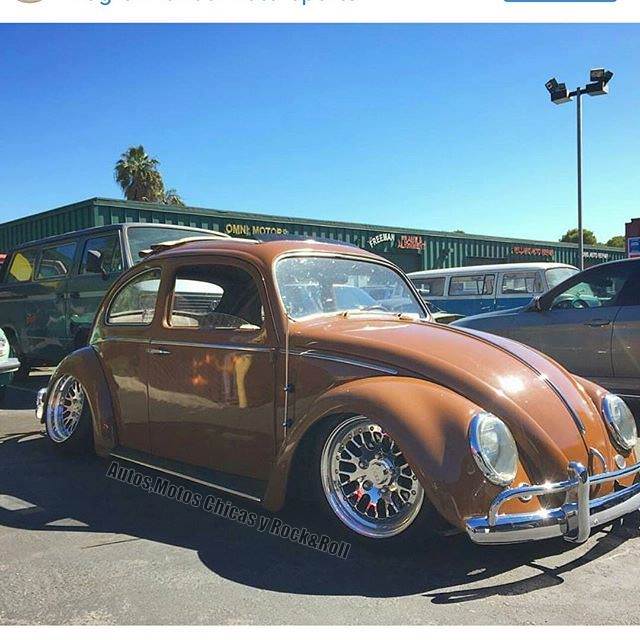 Volkswagen Kaplumbağa efsanesi