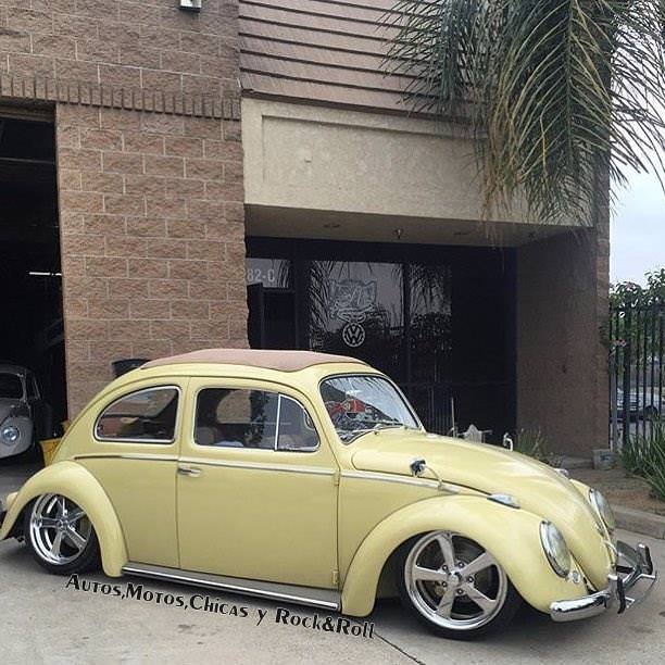 Volkswagen Kaplumbağa efsanesi