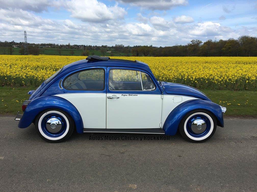 Volkswagen Kaplumbağa efsanesi