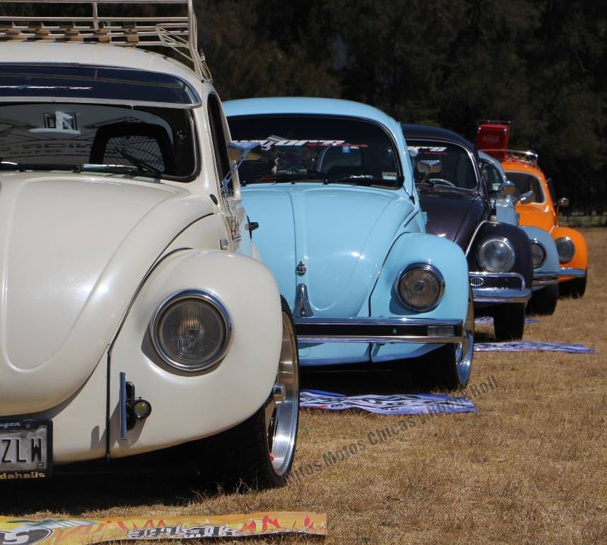 Volkswagen Kaplumbağa efsanesi