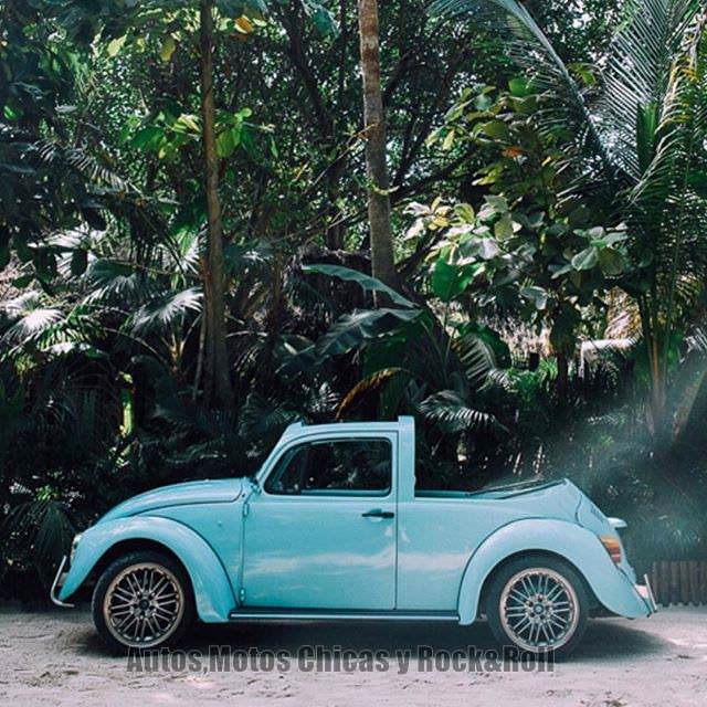 Volkswagen Kaplumbağa efsanesi