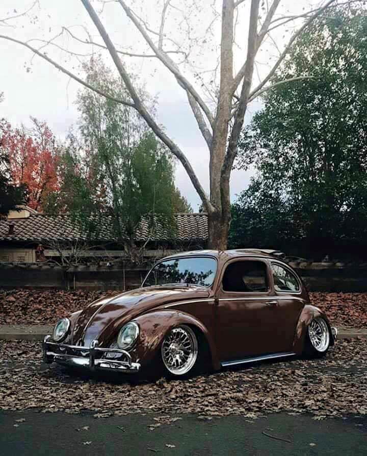 Volkswagen Kaplumbağa efsanesi