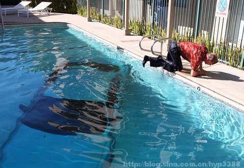 Dünyanın en ilginç kazaları