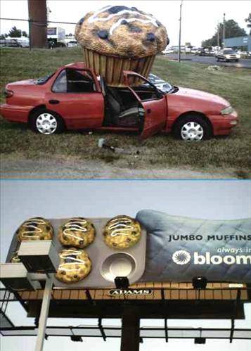 Dünyanın en ilginç kazaları