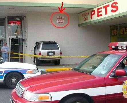 Dünyanın en ilginç kazaları