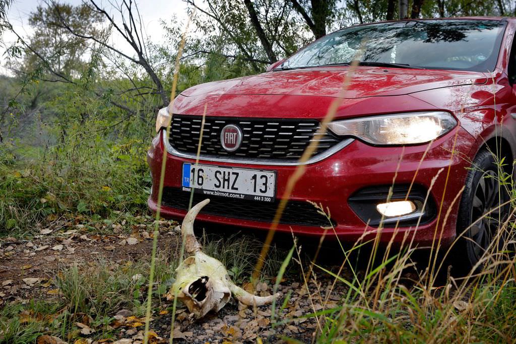 Fiat Egea ile dünya turu