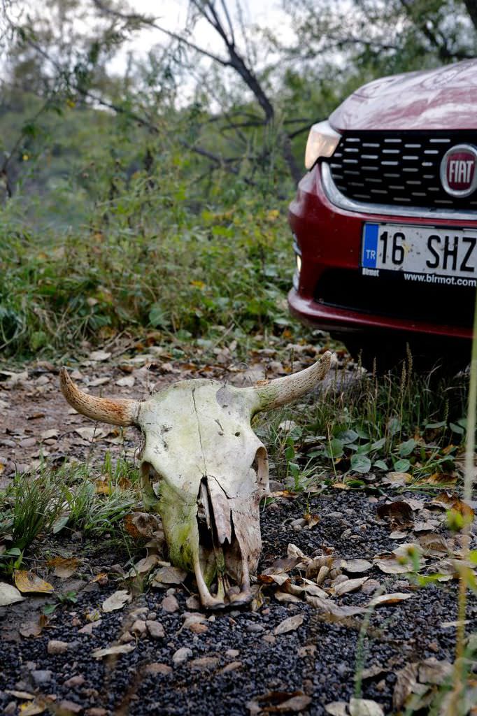 Fiat Egea ile dünya turu