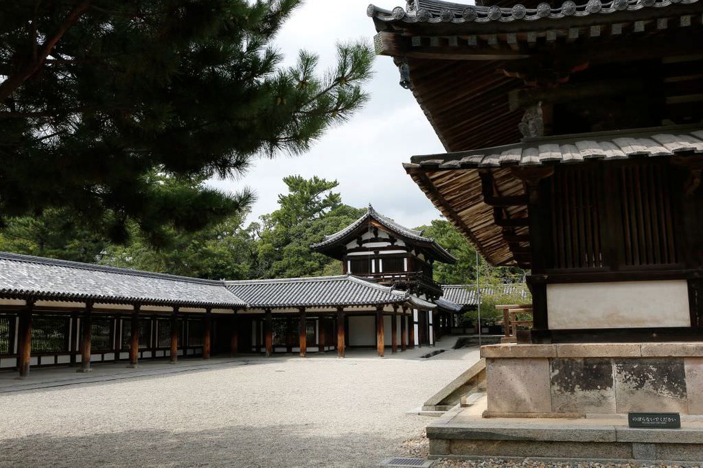 Fiat Egea ile dünya turu