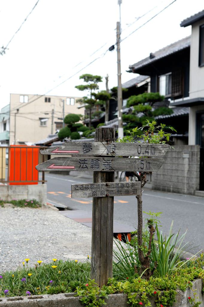 Fiat Egea ile dünya turu