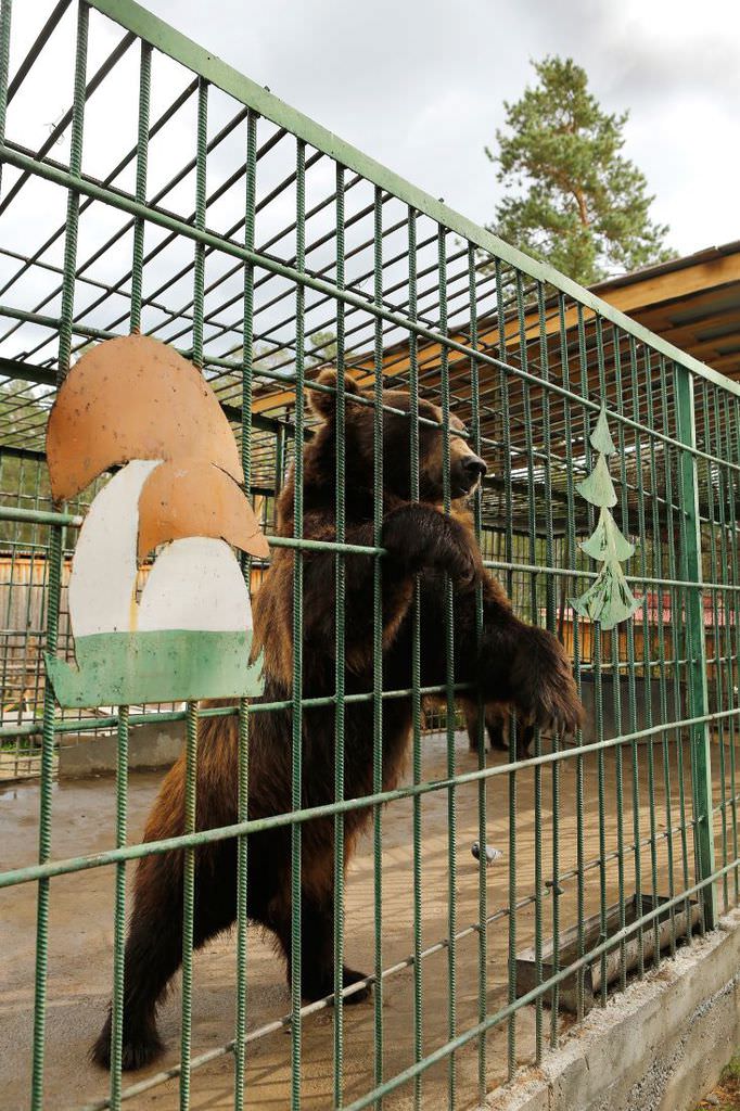 Fiat Egea ile dünya turu