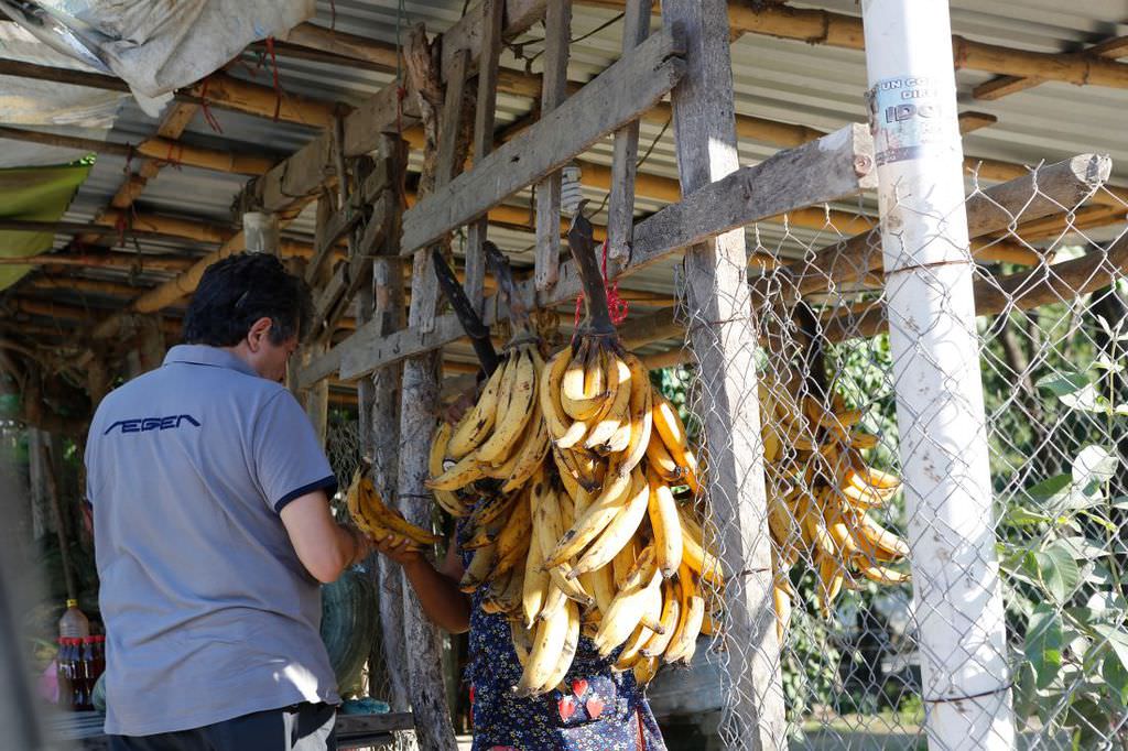 Fiat Egea ile dünya turu