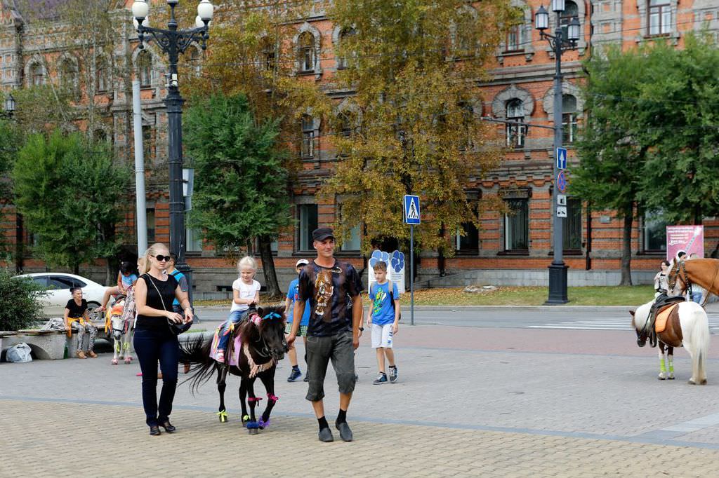 Fiat Egea ile dünya turu