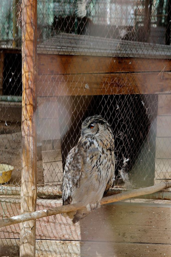 Fiat Egea ile dünya turu