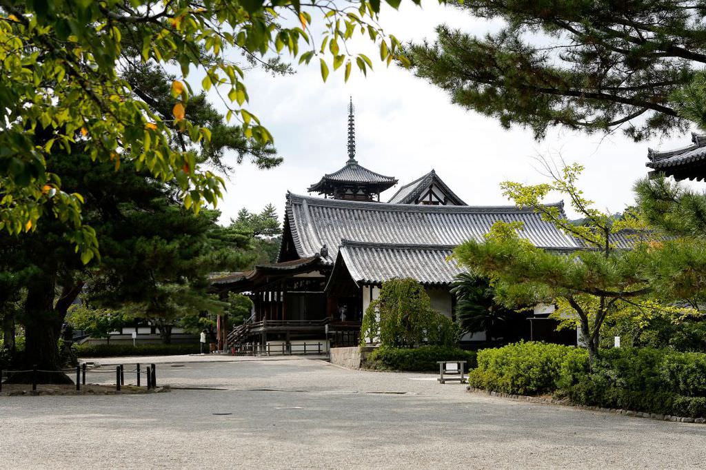 Fiat Egea ile dünya turu