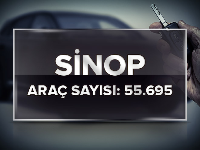 En çok otomobil hangi şehirde bulunuyor?