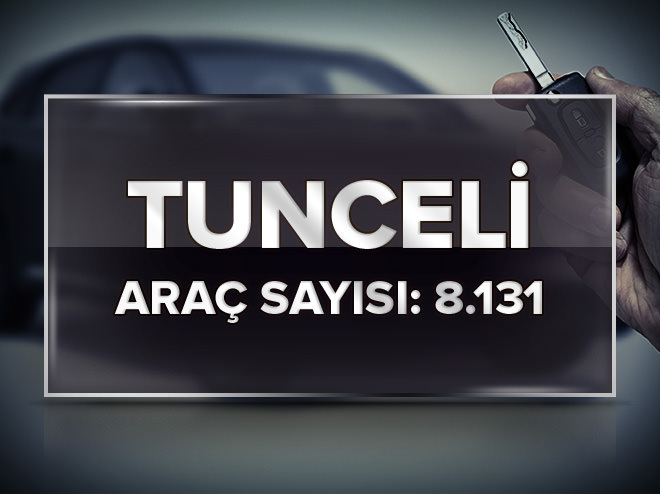 En çok otomobil hangi şehirde bulunuyor?