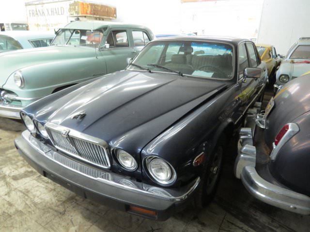 700 araçlık dev koleksiyon çürümeye bırakıldı